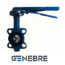 Затвор дисковый поворотный GENEBRE 2109B PN16, корпус - GJL-200 (GG20), диск - AISI316 (CF8M), упл. - NBR, М/Ф, рукоятка, шток 14мм
